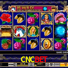CNCBET Rio de Janeiro - Bonus Terms