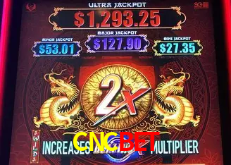 CNCBET Brasília - Casino Guide