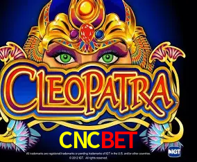 CNCBET Curitiba - Live Status